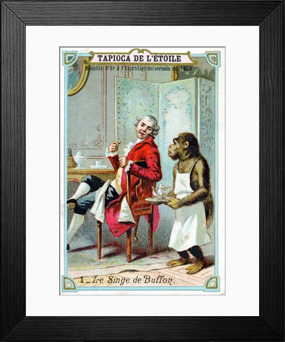 Framed Print : George-Louis Leclerc, Comte de Buffon, 18th century French naturalist, c1890 Framed Print : George-Louis Leclerc, Comte de Buffon, 18th century French naturalist, c1890
