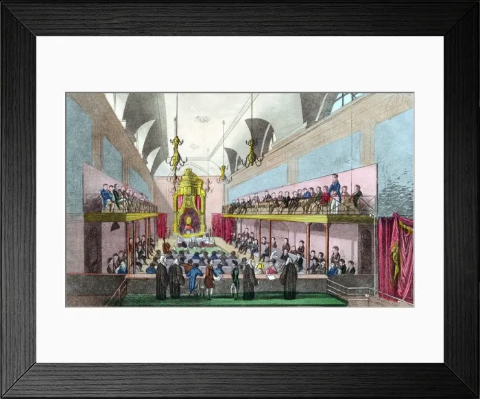 Framed Print : Trial of Queen Caroline in the House of Lords, London, 1820 (1821) Framed Print : Trial of Queen Caroline in the House of Lords, London, 1820 (1821)