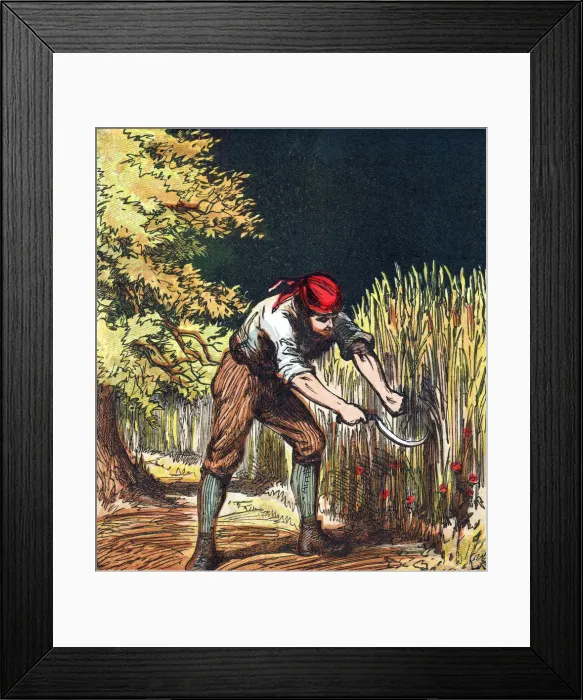 Framed Print : Reaper beginning to cut crop of wheat with a sickle, 1867 Framed Print : Reaper beginning to cut crop of wheat with a sickle, 1867