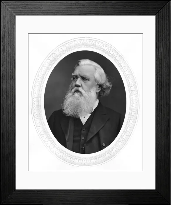 Framed Print : Austen Henry Layard, English archaeologist, politician and diplomat, c1880 Framed Print : Austen Henry Layard, English archaeologist, politician and diplomat, c1880