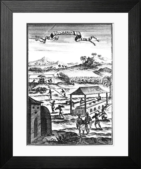 Framed Print : Sugar factory and plantation in the West Indies, 1686. Artist: Allain Manesson Mallet
