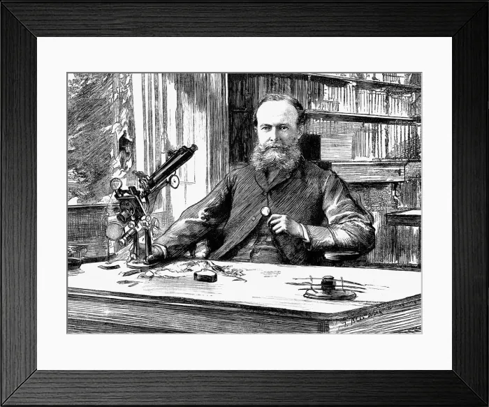 Framed Print : John Lubbock, lst Baron Avebury, English banker, scientist and Liberal politician, 1884 Framed Print : John Lubbock, lst Baron Avebury, English banker, scientist and Liberal politician, 1884