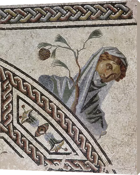 Gallo-Roman mosaic pavement