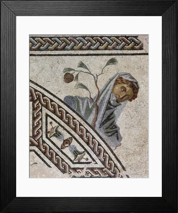 Framed Print : Gallo-Roman mosaic pavement Framed Print : Gallo-Roman mosaic pavement