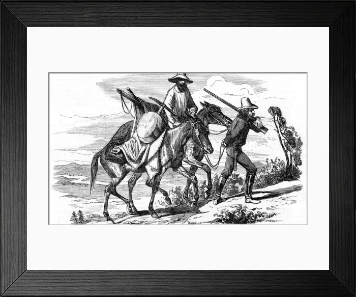 Framed Print : Prospectors on their way to the Californian gold fields, 1853 Framed Print : Prospectors on their way to the Californian gold fields, 1853