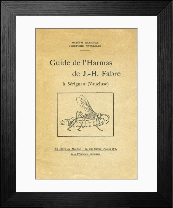 Framed Print : Cover of a booklet on entomology, 1933 Framed Print : Cover of a booklet on entomology, 1933