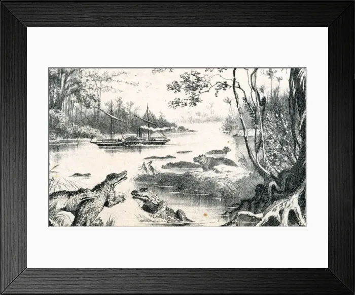 Framed Print : David Livingstone navigating the Zambezi, Africa, 1852-1864 (c1878) Framed Print : David Livingstone navigating the Zambezi, Africa, 1852-1864 (c1878)
