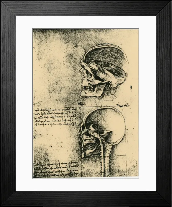 Framed Print : Anatomical sketch; two studies of a human skull, c1489. Artist: Leonardo da Vinci Framed Print : Anatomical sketch; two studies of a human skull, c1489. Artist: Leonardo da Vinci