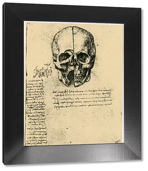 Anatomical sketch of a human skull, c1472-1519. Artist: Leonardo da Vinci