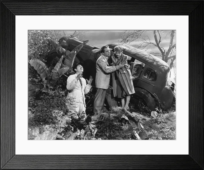 Framed Print : Scene from Now, Voyager, Warner Brothers film, 1942. Artist: Irving Rapper Framed Print : Scene from Now, Voyager, Warner Brothers film, 1942. Artist: Irving Rapper