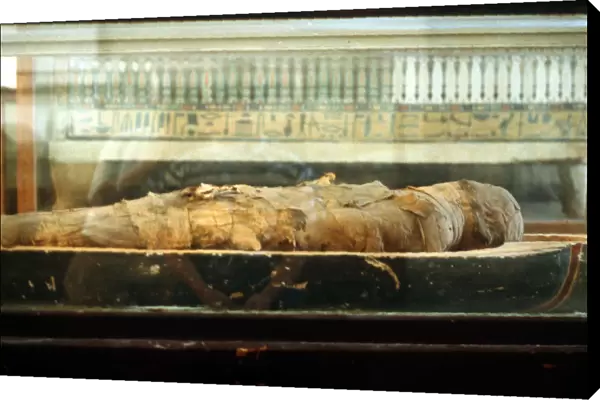 Mummy wrapped in bandages and lying on the base of a coffin, Ancient Egyptian
