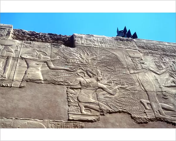 Rameses II and the Tree of Life, Karnak, Egypt, 13th century BC