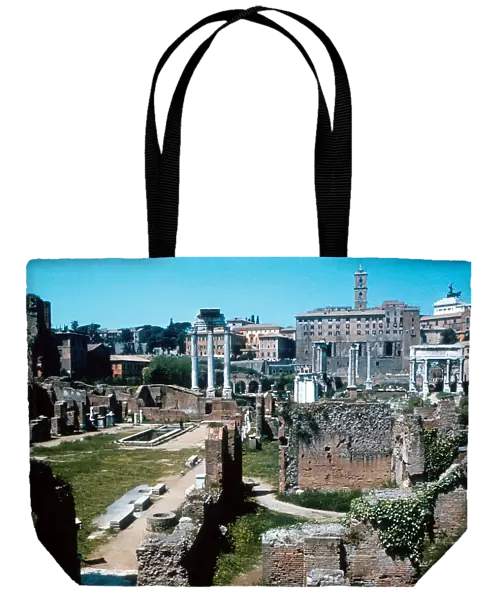 Ruins of the Forum, Rome with the House of the Vestals on the left
