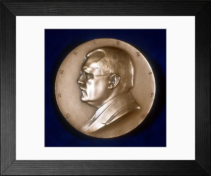 Framed Print : Karl Bosch, German chemist, c1930s Framed Print : Karl Bosch, German chemist, c1930s