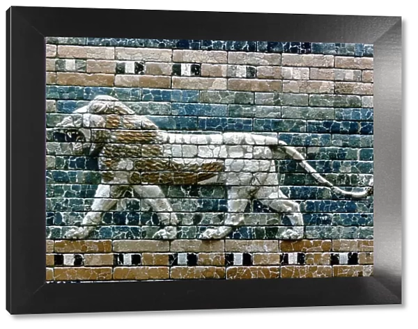 Lion passant from wall of the sacred way to the Ishtar Gate, Babylon (Iraq), c575 BC