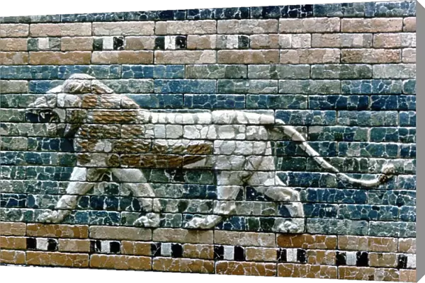 Lion passant from wall of the sacred way to the Ishtar Gate, Babylon (Iraq), c575 BC