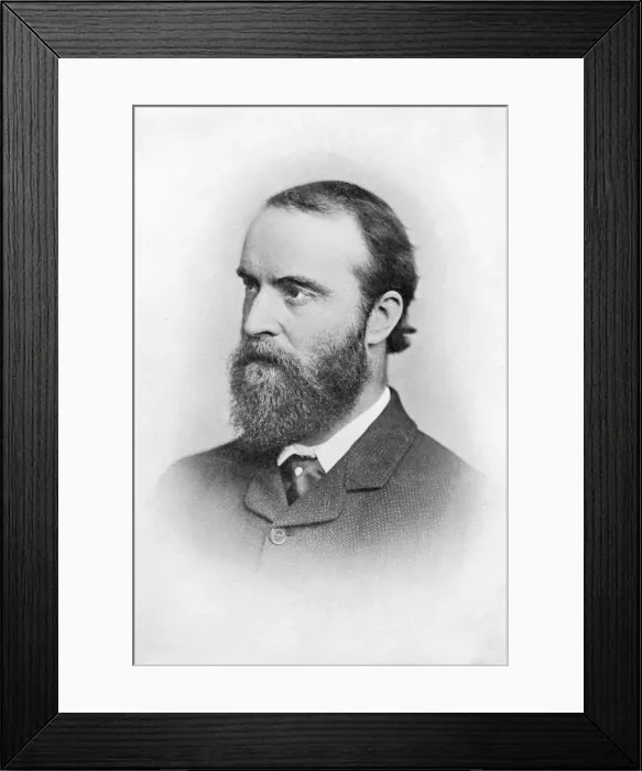 Framed Print : Charles Stuart Parnell, 19th century Irish Politician, c1874-1891 Framed Print : Charles Stuart Parnell, 19th century Irish Politician, c1874-1891