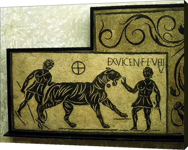 Roman mosaic deoicting a tiger and gladiators, 2nd century