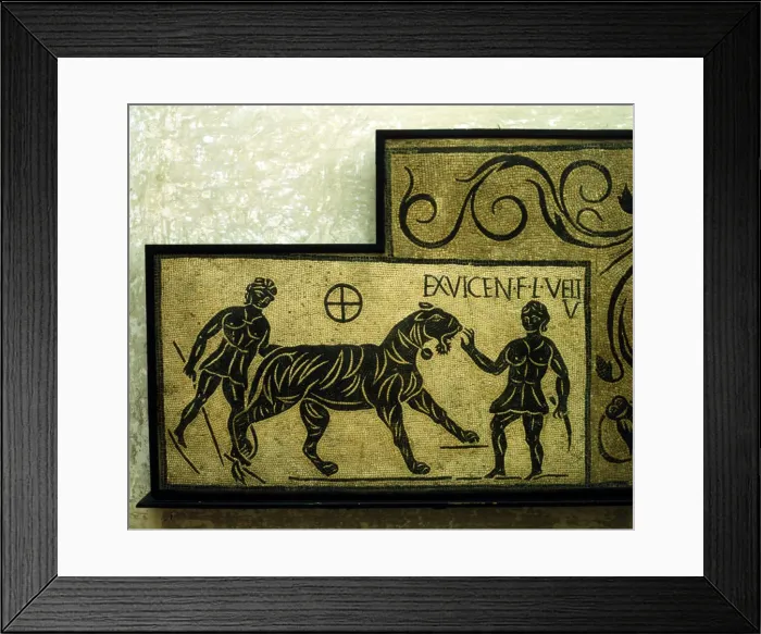Framed Print : Roman mosaic deoicting a tiger and gladiators, 2nd century Framed Print : Roman mosaic deoicting a tiger and gladiators, 2nd century