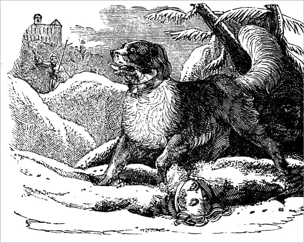 Dog from the Hospice of St Bernard finding a traveller in the snow, c1840