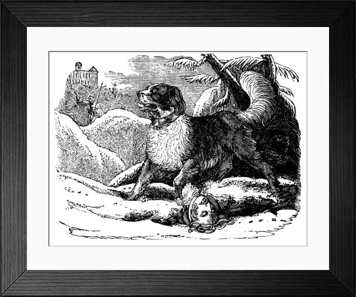 Framed Print : Dog from the Hospice of St Bernard finding a traveller in the snow, c1840