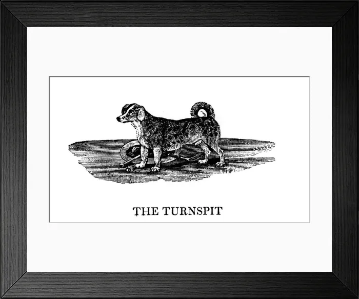 Framed Print : The Tunspit, 1790 Framed Print : The Tunspit, 1790