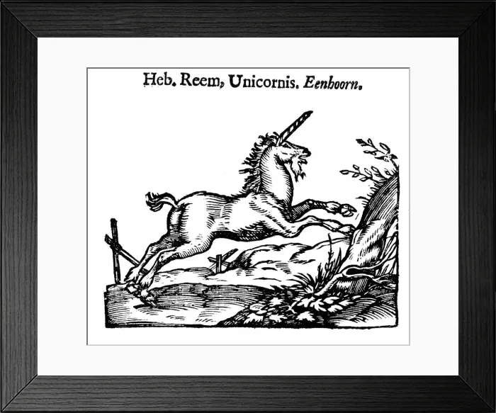 Framed Print : Unicorn, 1644 Framed Print : Unicorn, 1644