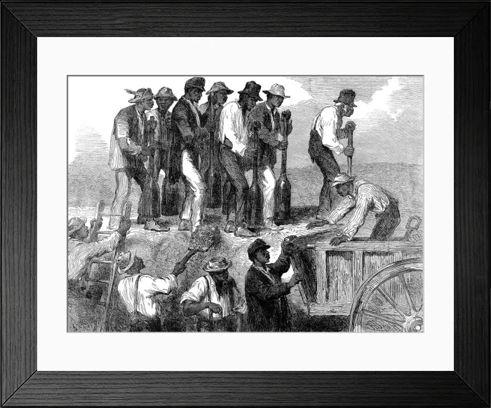 Framed Print : Negro labour strengthening the fortifications of Savannah, Georgia, American Civil War, 1863 Framed Print : Negro labour strengthening the fortifications of Savannah, Georgia, American Civil War, 1863
