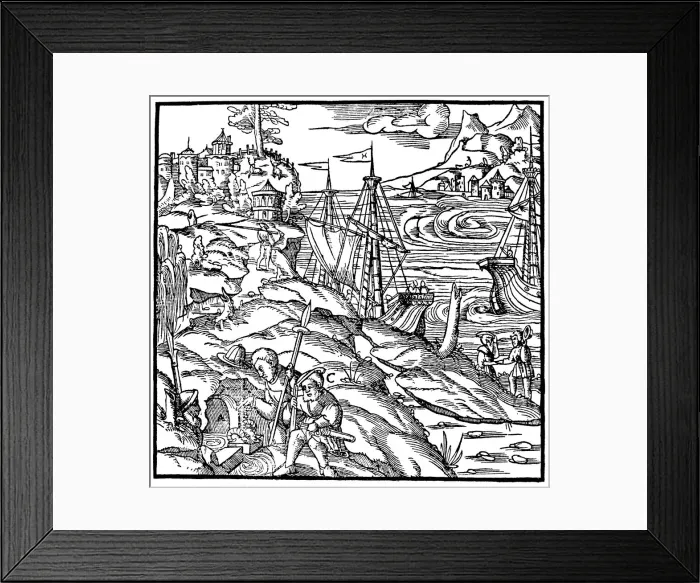 Framed Print : The Argonauts finding the Golden Fleece, 1556