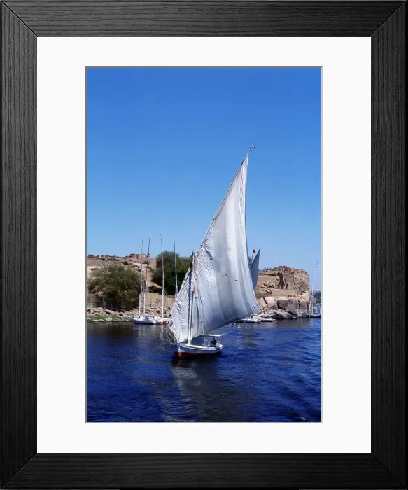 Framed Print : Feluccas on the Nile, Elephantine Island near Aswan, modern Egypt Framed Print : Feluccas on the Nile, Elephantine Island near Aswan, modern Egypt