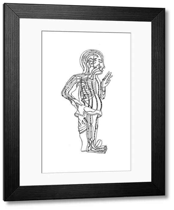 Framed Print : Acupuncture chart, 19th century Framed Print : Acupuncture chart, 19th century