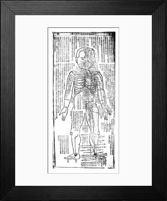 Framed Print : Acupuncture chart for the front of the body, Japanese, 19th century Framed Print : Acupuncture chart for the front of the body, Japanese, 19th century