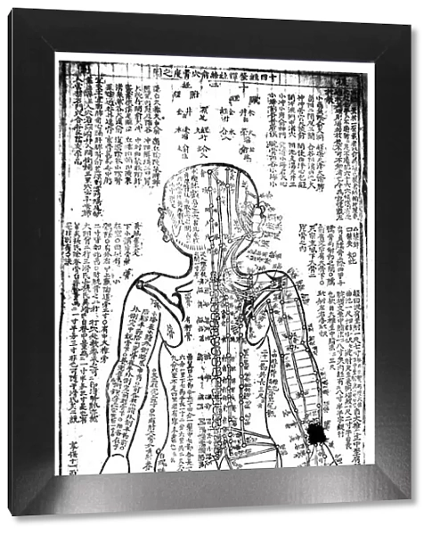 Acupuncture chart for the rear of the body, Japanese, 19th century
