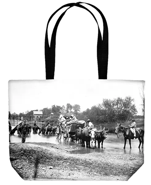 Black refugees travelling in a bullock cart, American Civil War, 1861-1865