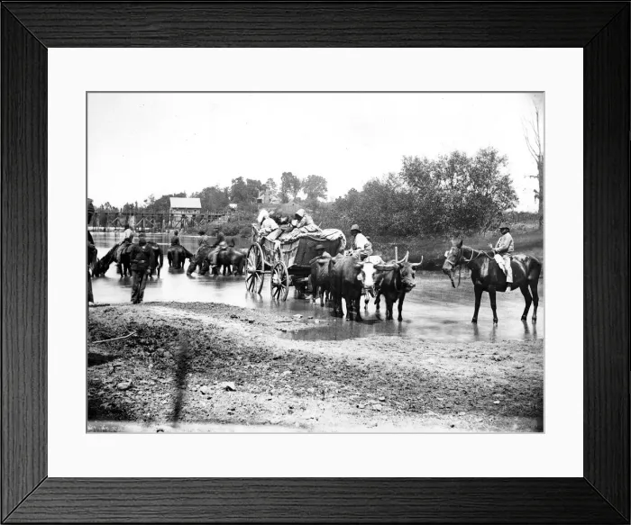 Framed Print : Black refugees travelling in a bullock cart, American Civil War, 1861-1865 Framed Print : Black refugees travelling in a bullock cart, American Civil War, 1861-1865