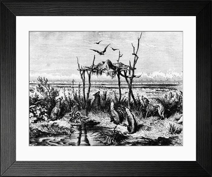 Framed Print : Native American funeral customs, c1870 Framed Print : Native American funeral customs, c1870