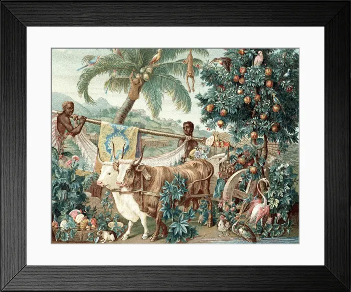 Framed Print : Wealth of the Indies, 17th century Framed Print : Wealth of the Indies, 17th century