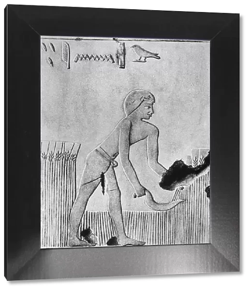 Man reaping barley with a sickle, probably of wood set with flint, Ancient Egyptian, c240 BC