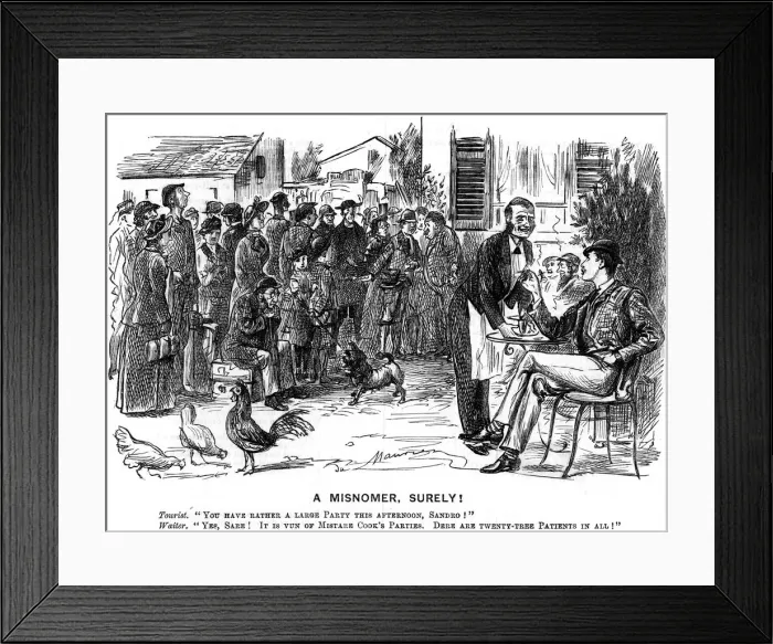 Framed Print : A Misnomer, Surely!, 1880. Artist: George du Maurier Framed Print : A Misnomer, Surely!, 1880. Artist: George du Maurier