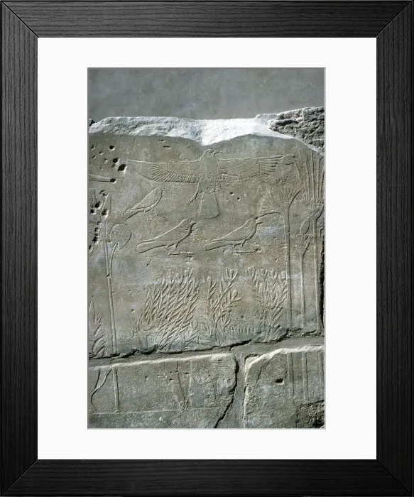 Framed Print : Reliefs in the Botanical Garden, Temple of Amun, Karnak, Egypt Framed Print : Reliefs in the Botanical Garden, Temple of Amun, Karnak, Egypt