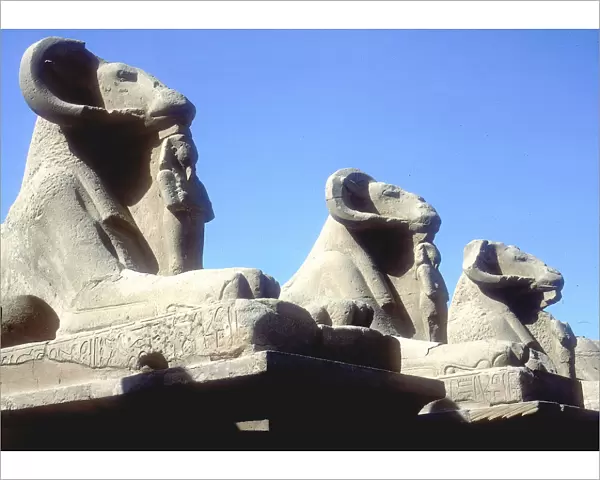 Ram-headed sphinxes, Temple of Amun, Karnak, Egypt