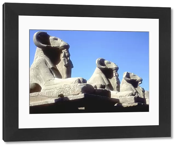 Ram-headed sphinxes, Temple of Amun, Karnak, Egypt