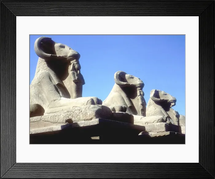Framed Print : Ram-headed sphinxes, Temple of Amun, Karnak, Egypt Framed Print : Ram-headed sphinxes, Temple of Amun, Karnak, Egypt