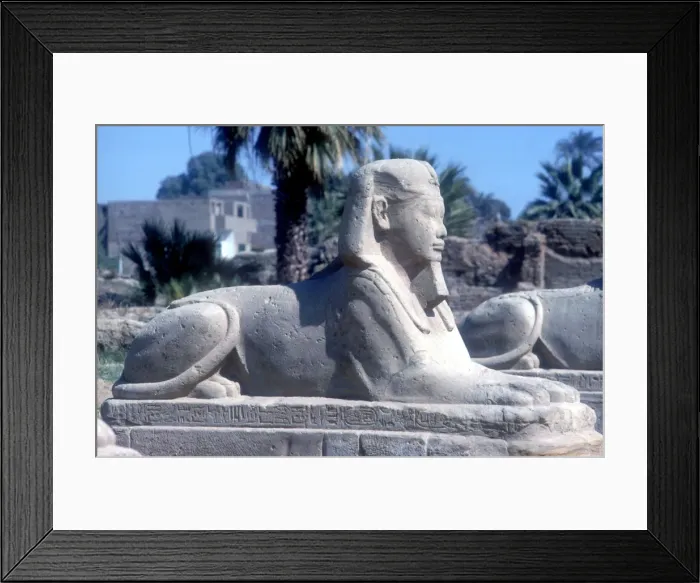 Framed Print : A sphinx from the avenue of Sphinxes, Temple sacred to Amun Mut & Khons, Luxor, Egypt, c370 BC Framed Print : A sphinx from the avenue of Sphinxes, Temple sacred to Amun Mut & Khons, Luxor, Egypt, c370 BC