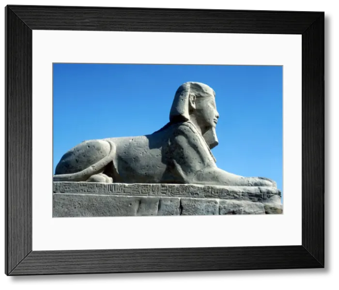 Framed Print : A sphinx from the avenue of Sphinxes, Temple sacred to Amun Mut & Khons, Luxor, Egypt, c370 BC Framed Print : A sphinx from the avenue of Sphinxes, Temple sacred to Amun Mut & Khons, Luxor, Egypt, c370 BC