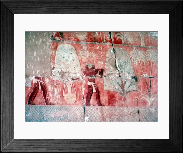 Framed Print : Wall painting: returning from the expedition, Temple of Queen Hatshepsut, Luxor, Egypt, c1470 BC Framed Print : Wall painting: returning from the expedition, Temple of Queen Hatshepsut, Luxor, Egypt, c1470 BC