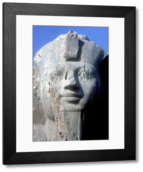 Framed Print : Head detail of Alabaster Sphinx, Memphis, Egypt, 18th or 19th Dynasty, c14th-13th century BC