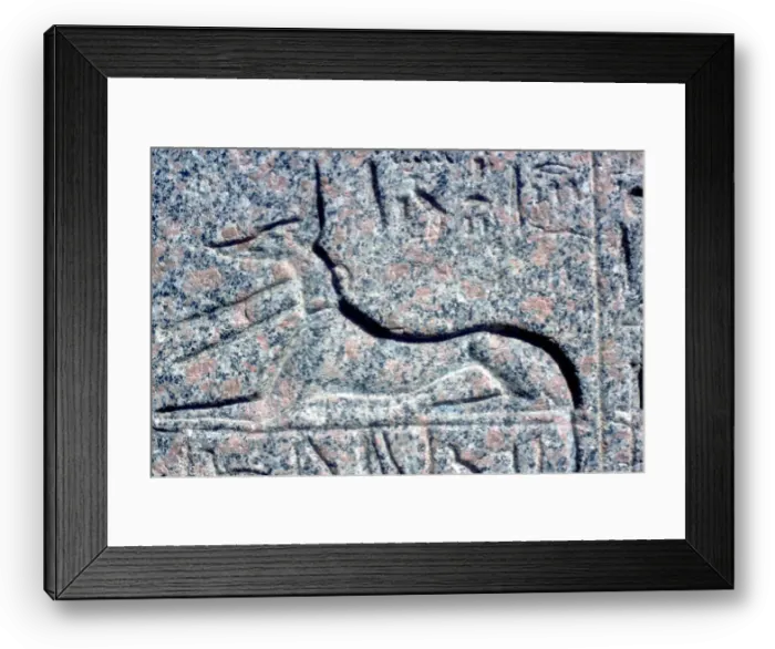 Framed Print : Detail from relief on granite sarcophagus of Anubis, Memphis, Egypt, Middle kingdom period Framed Print : Detail from relief on granite sarcophagus of Anubis, Memphis, Egypt, Middle kingdom period