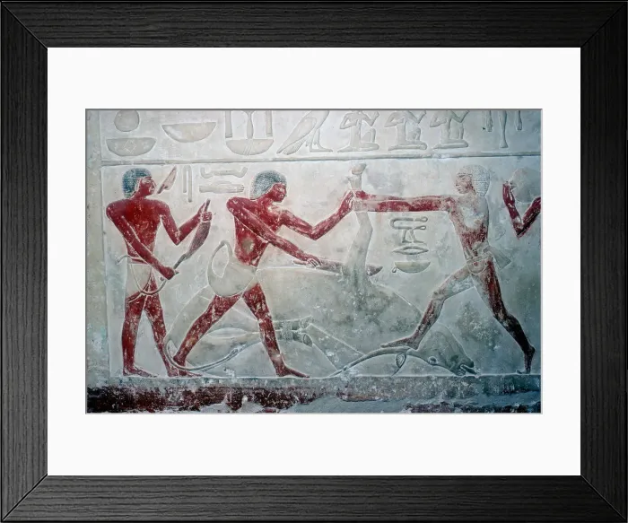 Framed Print : Wallpainting of 3 butchers cutting up a carcase, Tomb of Idut, 5th Dynasty, c2350 BC Framed Print : Wallpainting of 3 butchers cutting up a carcase, Tomb of Idut, 5th Dynasty, c2350 BC