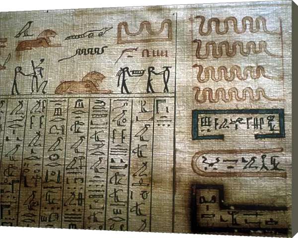 Detail from a Book of the Dead papyrus, Egyptian Museum, Cairo